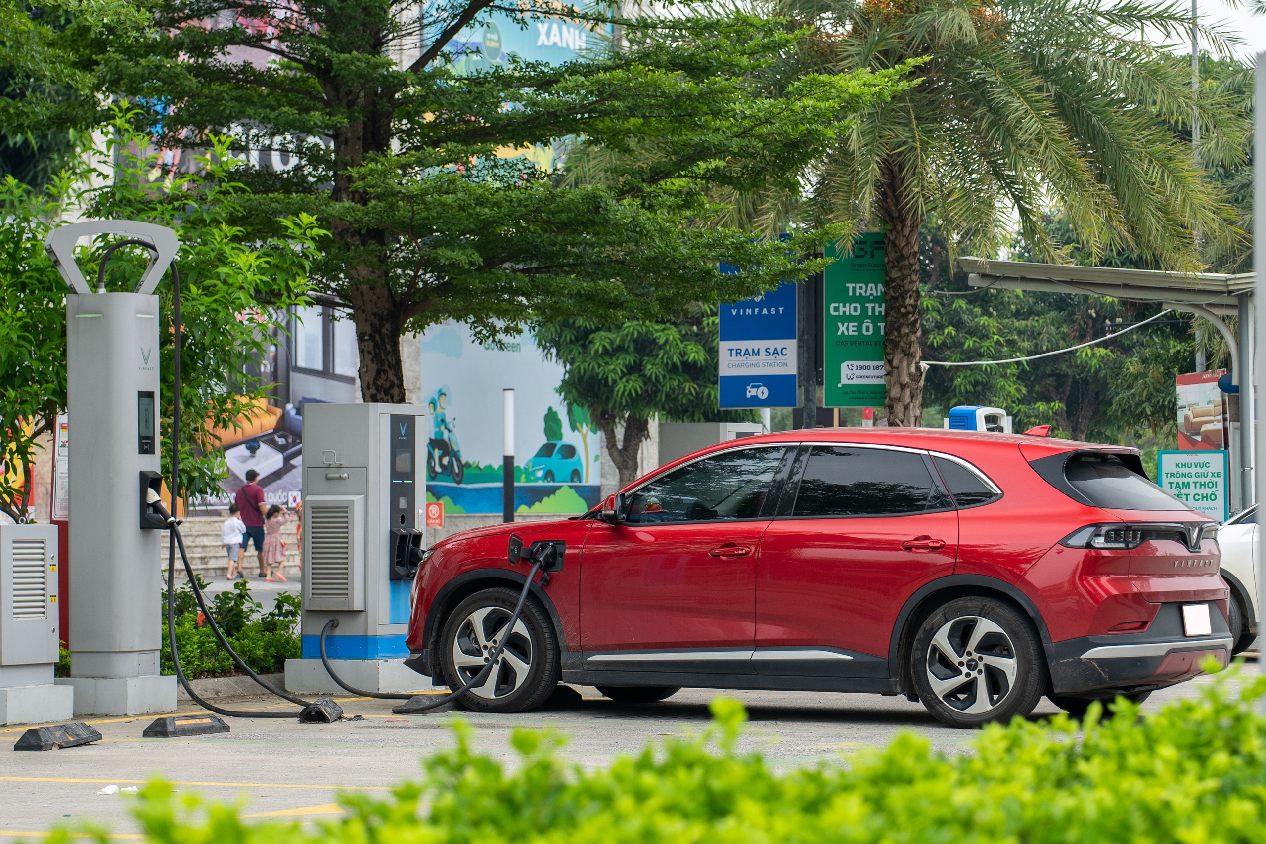 Cần có các chính sách khuyến khích và hỗ trợ tài chính để thu hút đầu tư