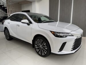 Hai phiên bản của RX 350h 2025 có những khác biệt rõ rệt về tiện nghi