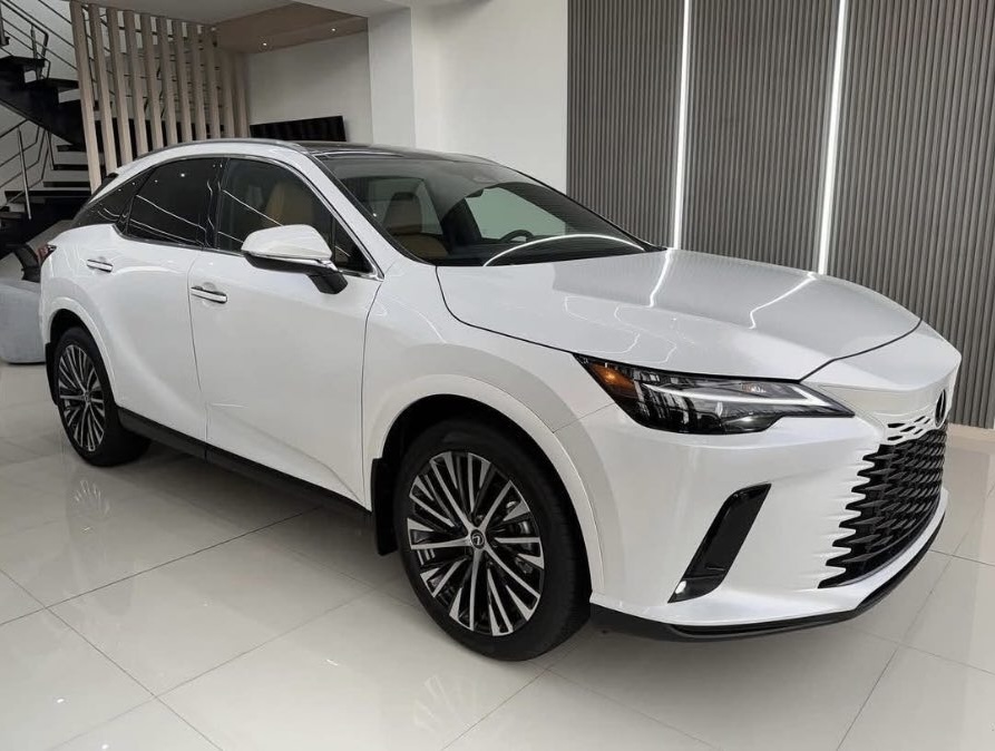 Hai phiên bản của RX 350h 2025 có những khác biệt rõ rệt về tiện nghi